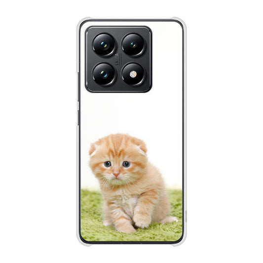 Xiaomi 14T Pro A402XM SoftBank 高画質仕上げ 背面印刷 ハードケース 【VA802 ネコこっそり】