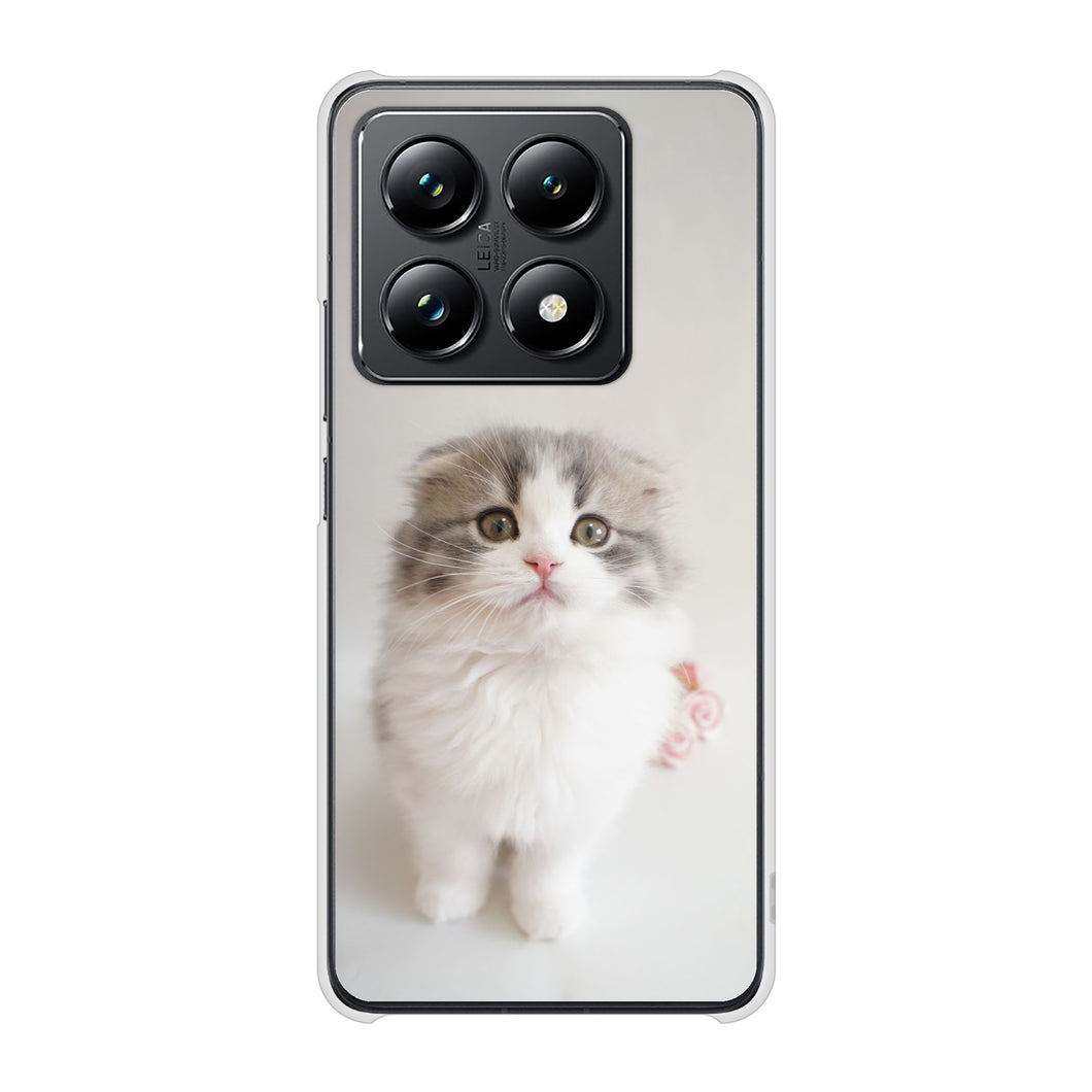 Xiaomi 14T Pro A402XM SoftBank 高画質仕上げ 背面印刷 ハードケース 【VA803 まっていますネコ】