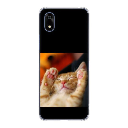 かんたんスマホ4 A402ZT Y!mobile 高画質仕上げ 背面印刷 ハードケース 【VA804 爆睡するネコ】