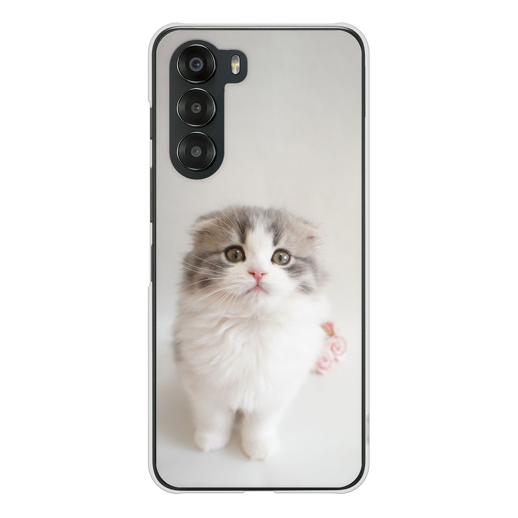 nubia S 5G A403ZT Y!mobile 高画質仕上げ 背面印刷 ハードケース 【VA803 まっていますネコ】
