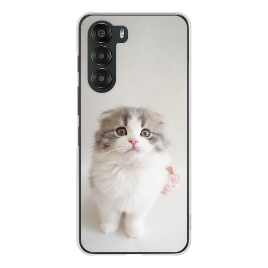 nubia S 5G A403ZT Y!mobile 高画質仕上げ 背面印刷 ハードケース 【VA803 まっていますネコ】