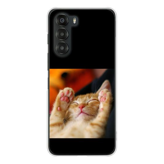 nubia S 5G A403ZT Y!mobile 高画質仕上げ 背面印刷 ハードケース 【VA804 爆睡するネコ】