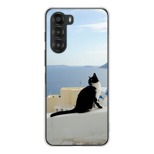nubia S 5G A403ZT Y!mobile 高画質仕上げ 背面印刷 ハードケース 【VA805 ネコと地中海】
