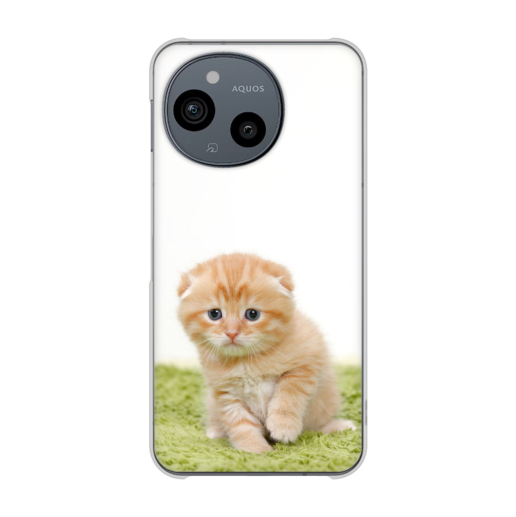 AQUOS sense9 A405SH SoftBank 高画質仕上げ 背面印刷 ハードケース 【VA802 ネコこっそり】