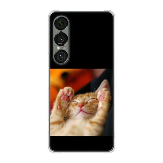 Xperia 1 VII A501SO SoftBank 高画質仕上げ 背面印刷 ハードケース 【VA804 爆睡するネコ】