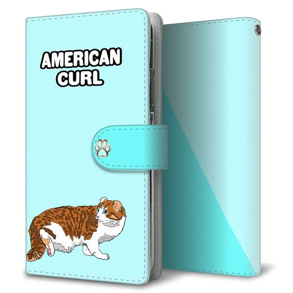 arrows We2 FCG02 au 高画質仕上げ プリント手帳型ケース ( 通常型 )アメリカンカール