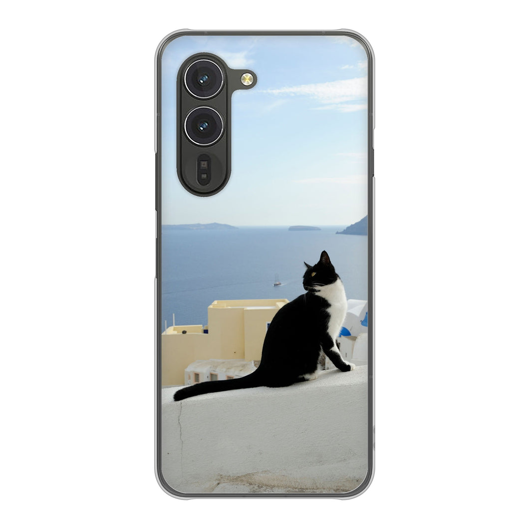 arrows Alpha M08 高画質仕上げ 背面印刷 ハードケース 【VA805 ネコと地中海】