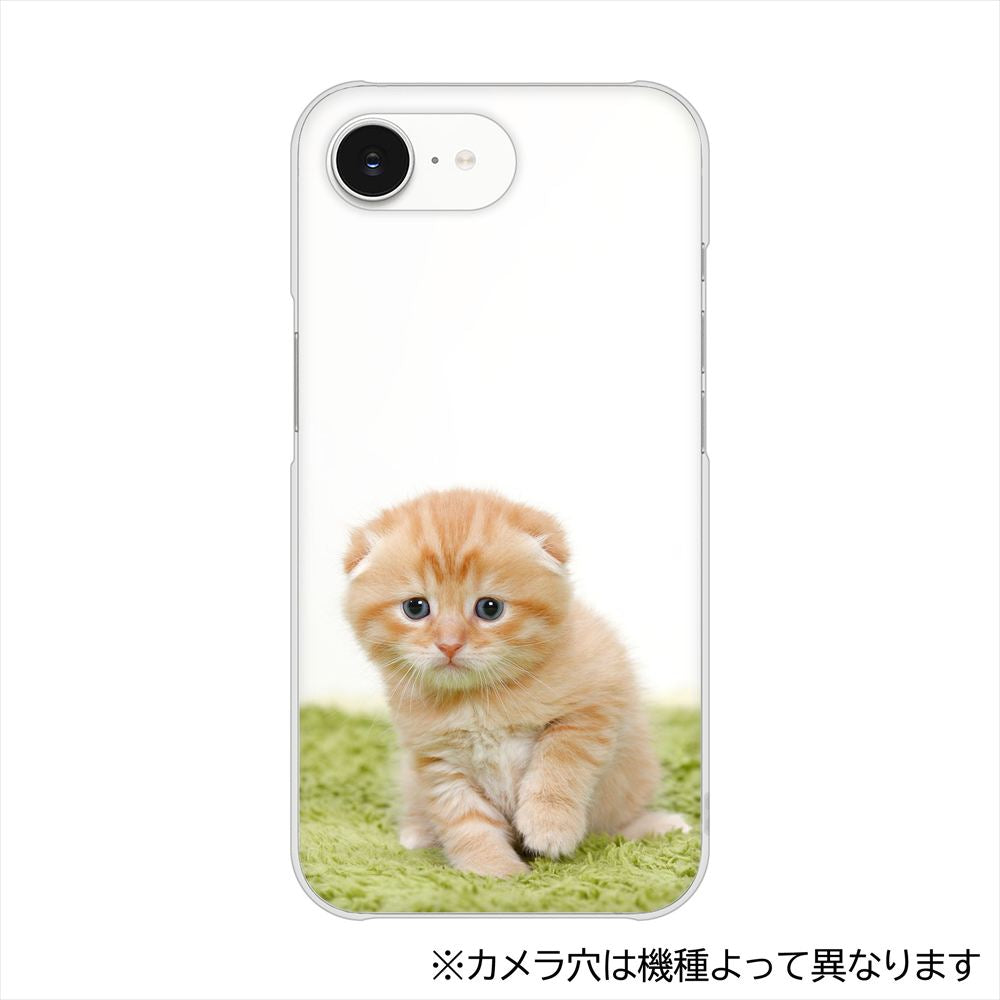 Xperia 10 VIII A602SO SoftBank VA802 ネコこっそり ハードケース 背面印刷