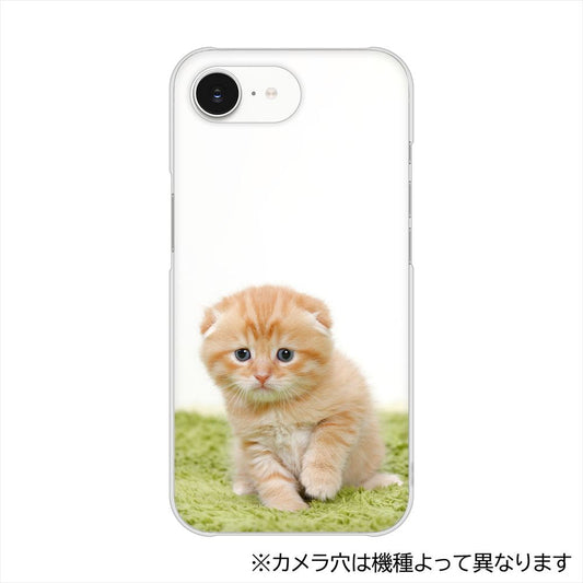 OPPO Reno15 A CPH2801 VA802 ネコこっそり ハードケース 背面印刷