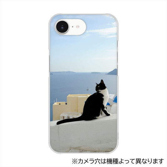 かんたんスマホ5 A601ZT Y!mobile VA805 ネコと地中海 ハードケース 背面印刷