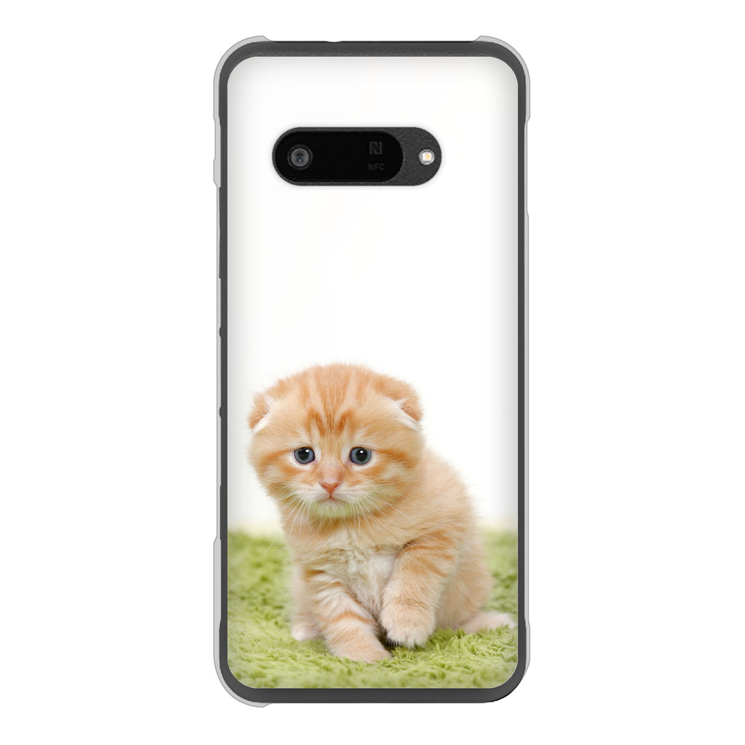 DIGNO SX4 高画質仕上げ 背面印刷 ハードケース 【VA802 ネコこっそり】