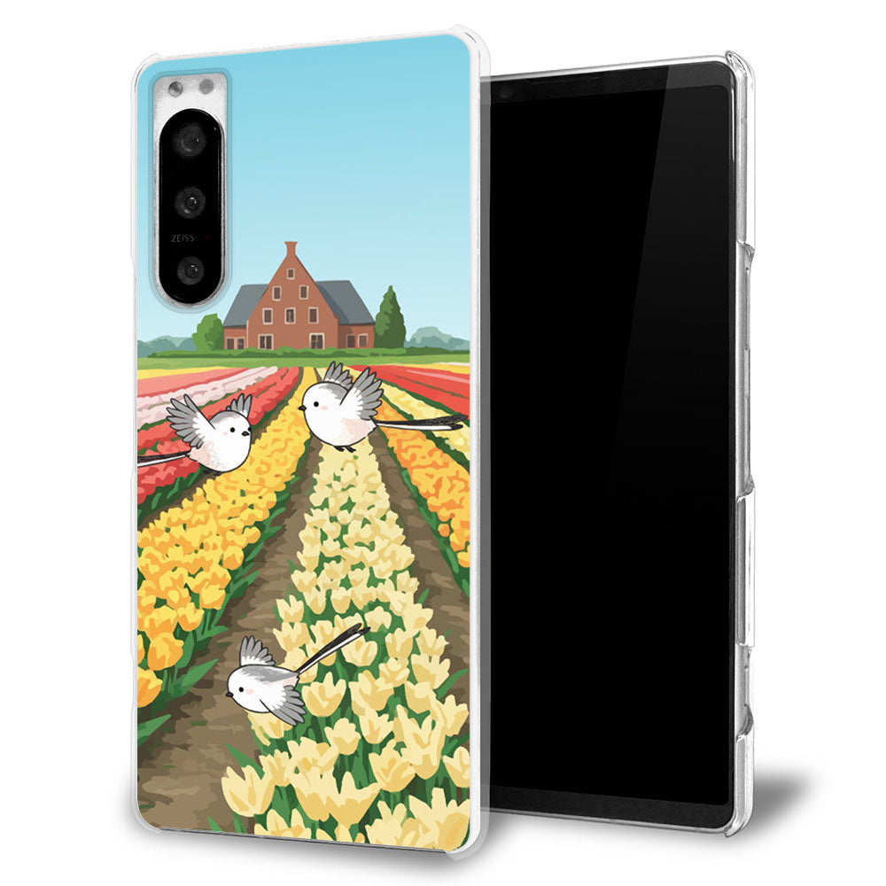 arrows NX F-01K docomo シマエナガとかわいい時間 透明クリアハードケース