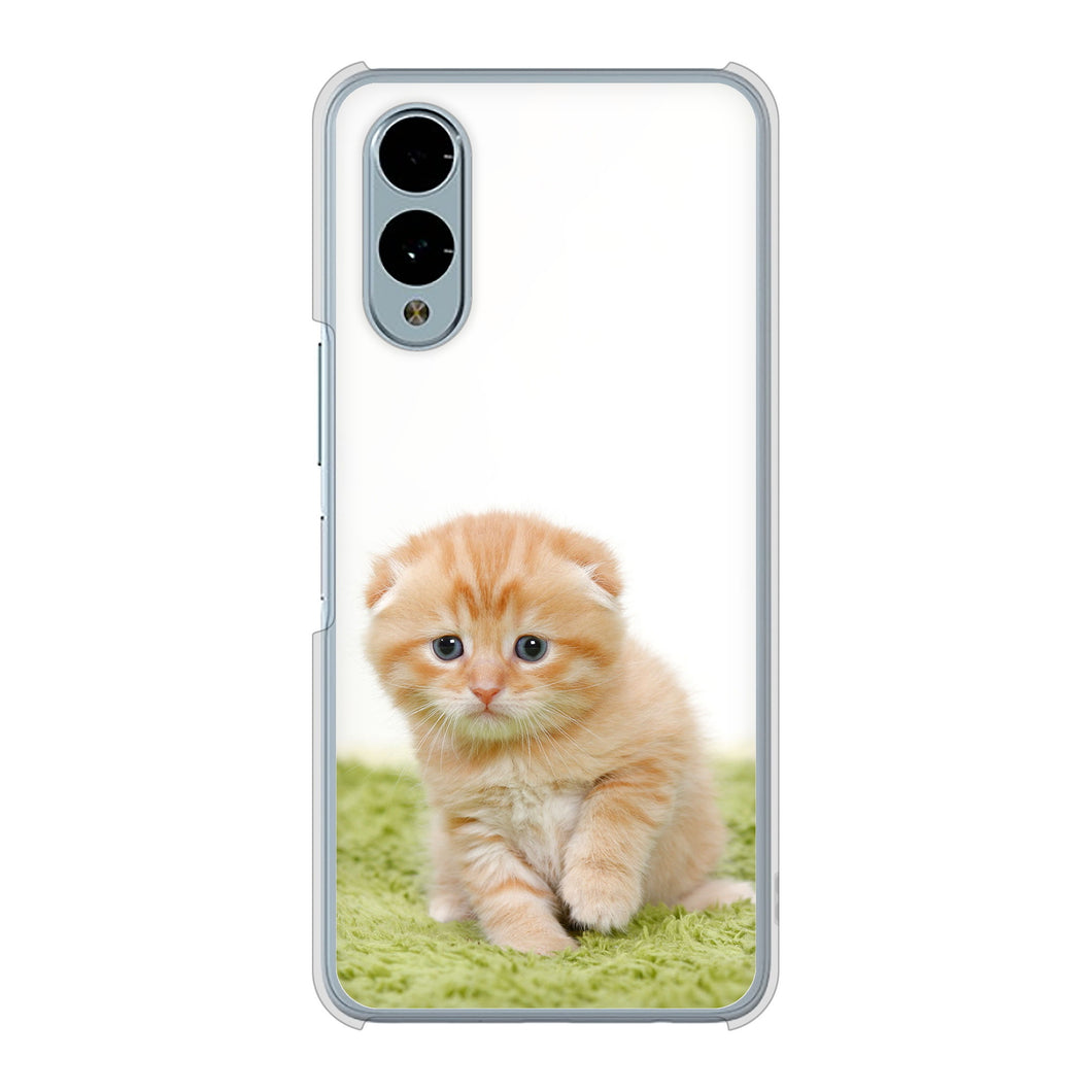 arrows We2 F-52E docomo 高画質仕上げ 背面印刷 ハードケース 【VA802 ネコこっそり】