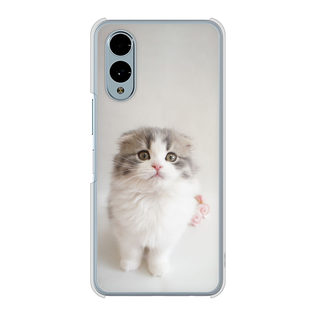 arrows We2 F-52E docomo 高画質仕上げ 背面印刷 ハードケース 【VA803 まっていますネコ】