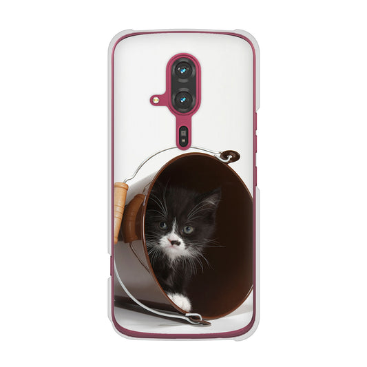 らくらくスマートフォン F-53E docomo 高画質仕上げ 背面印刷 ハードケース 【VA800 ネコとバケツ】