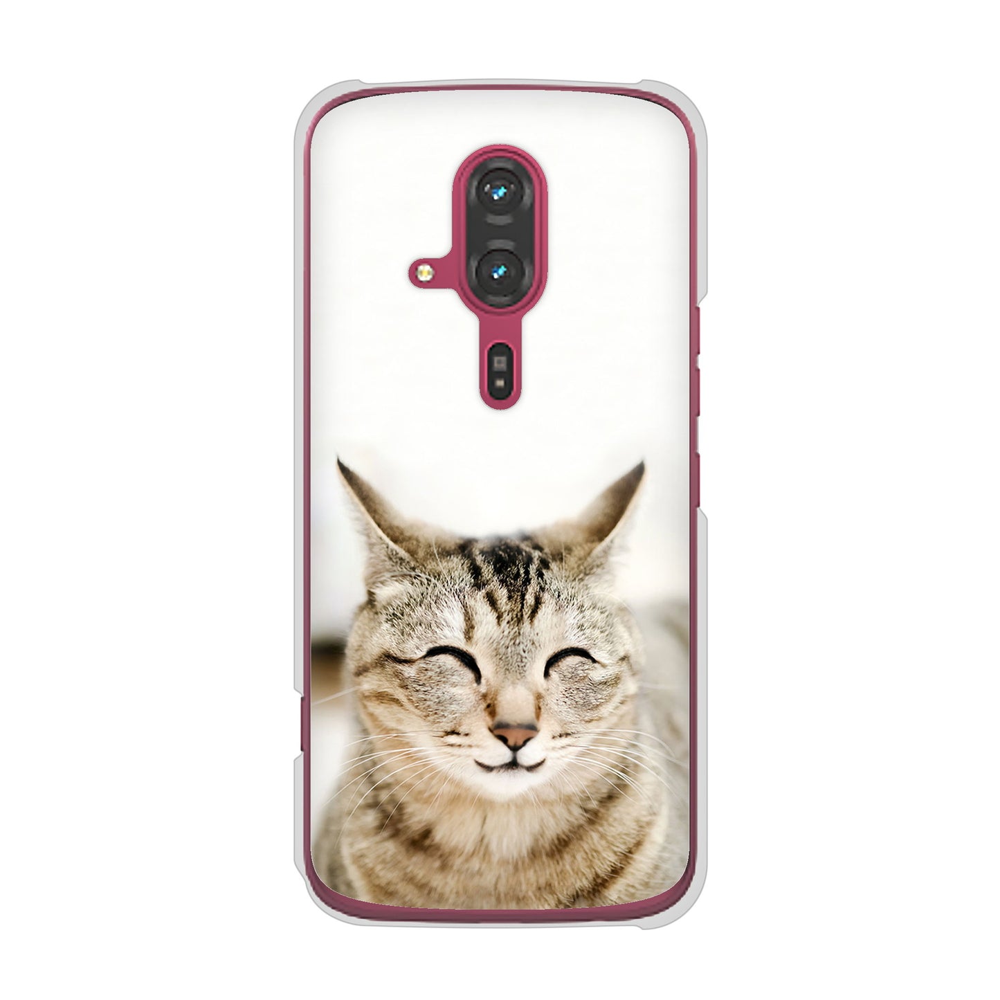 らくらくスマートフォン F-53E docomo 高画質仕上げ 背面印刷 ハードケース 【VA801 笑福ねこ】