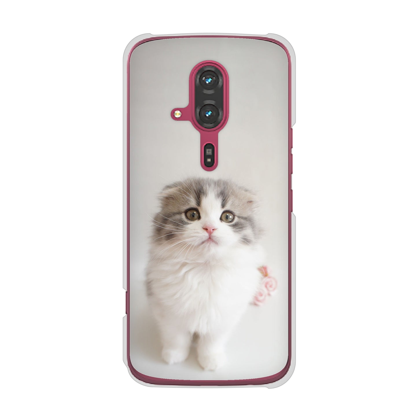 らくらくスマートフォン F-53E docomo 高画質仕上げ 背面印刷 ハードケース 【VA803 まっていますネコ】