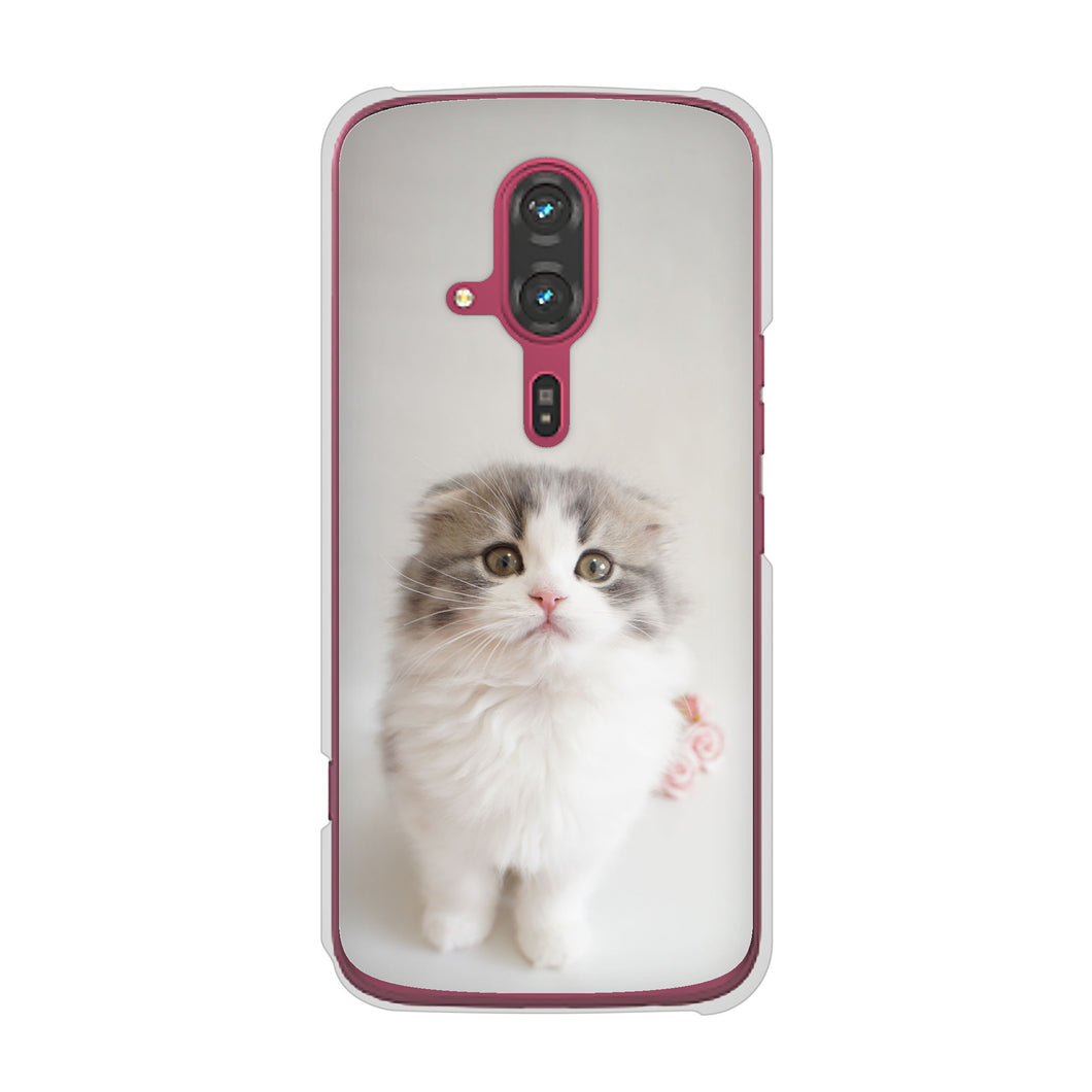 らくらくスマートフォン F-53E docomo 高画質仕上げ 背面印刷 ハードケース 【VA803 まっていますネコ】