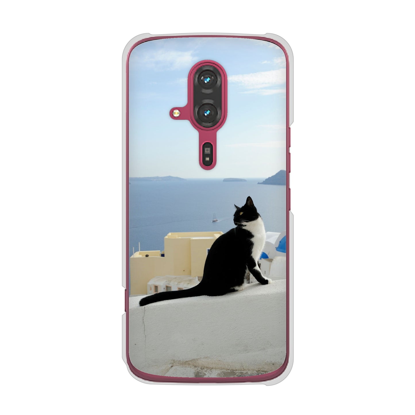 らくらくスマートフォン F-53E docomo 高画質仕上げ 背面印刷 ハードケース 【VA805 ネコと地中海】