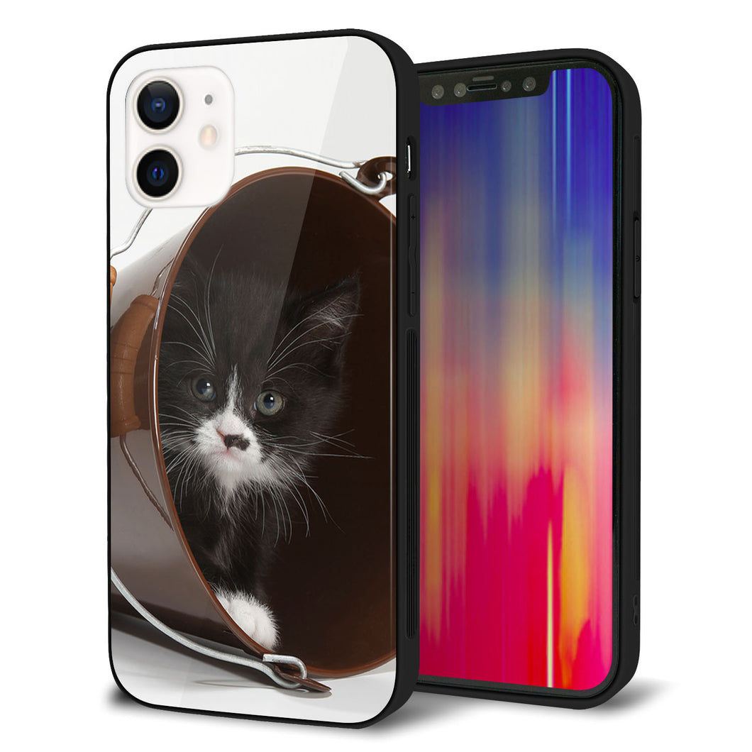 iPhone12 強化ガラス＆TPUスマホケース ガラプリ【VA800 ネコとバケツ】