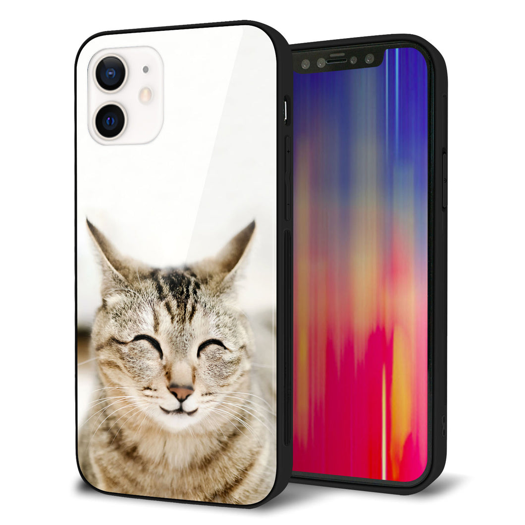 iPhone12 強化ガラス＆TPUスマホケース ガラプリ【VA801 笑福ねこ】