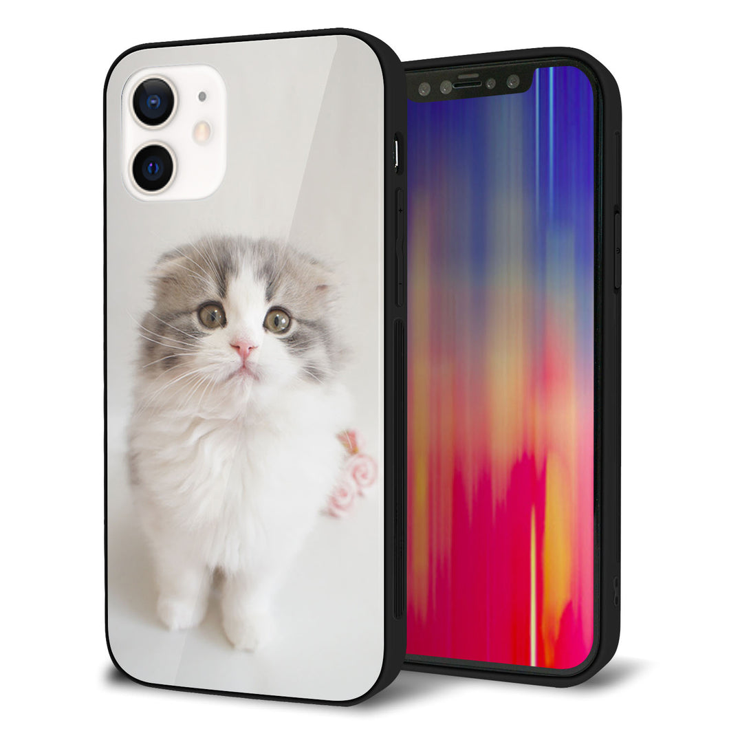 iPhone12 強化ガラス＆TPUスマホケース ガラプリ【VA803 まっていますネコ】