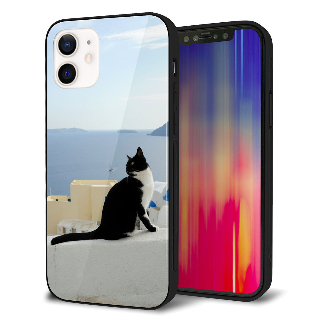 iPhone12 強化ガラス＆TPUスマホケース ガラプリ【VA805 ネコと地中海】