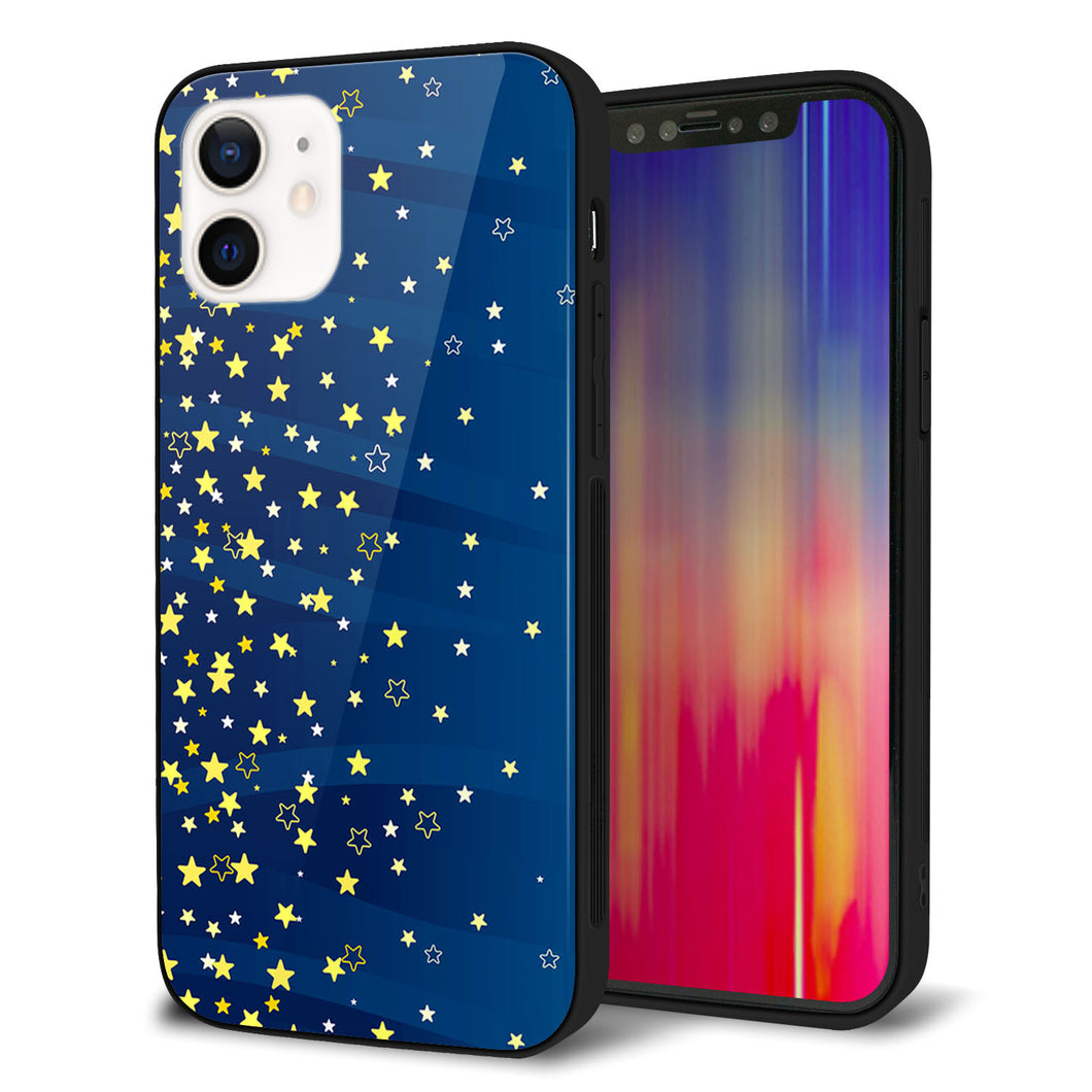 iPhone12 強化ガラス＆TPUスマホケース ガラプリ【VA842 満天の星空】