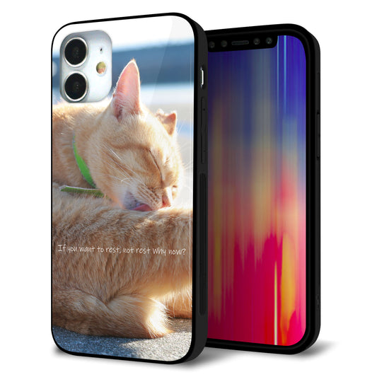 iPhone12 mini 強化ガラス＆TPUスマホケース ガラプリ【KM876 猫】