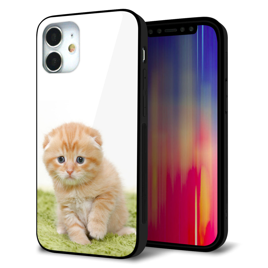 iPhone12 mini 強化ガラス＆TPUスマホケース ガラプリ【VA802 ネコこっそり】