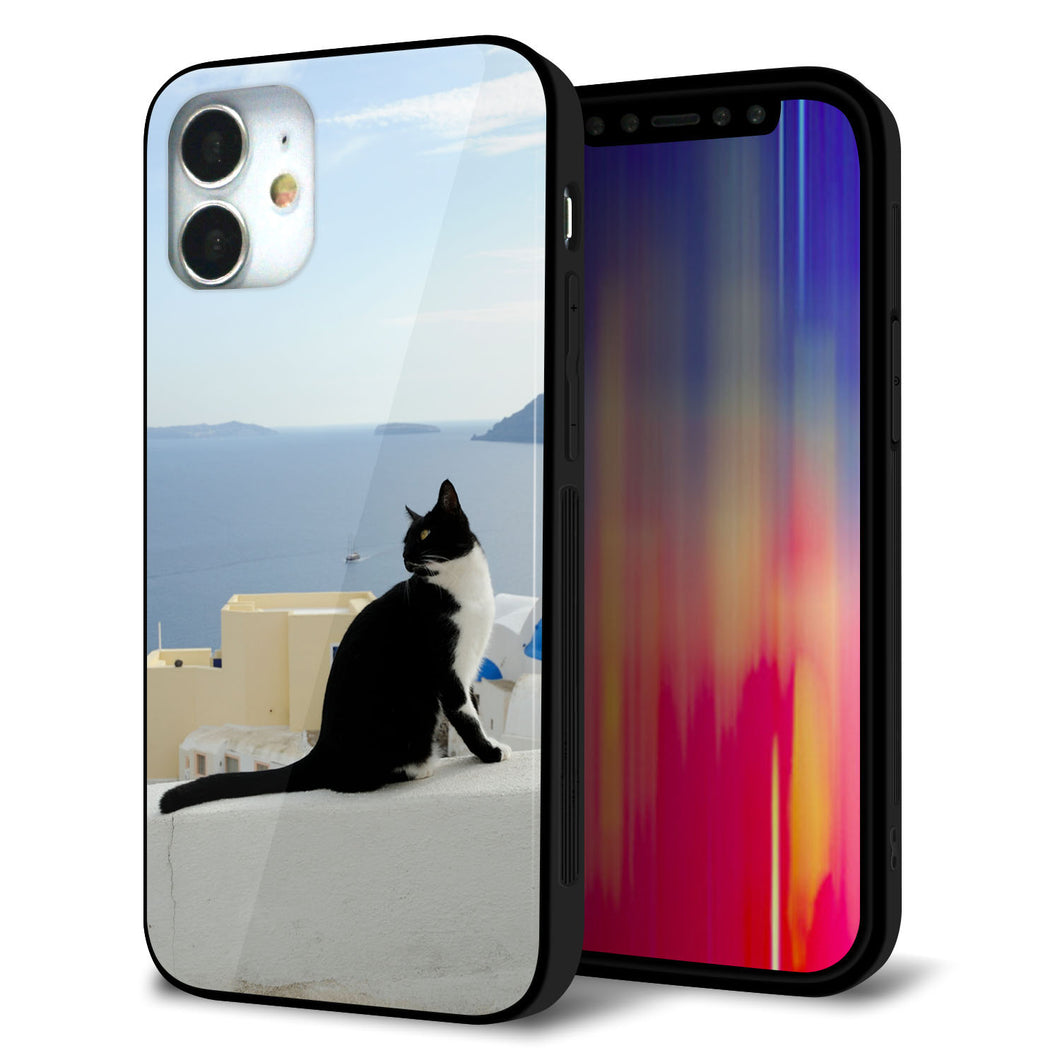 iPhone12 mini 強化ガラス＆TPUスマホケース ガラプリ【VA805 ネコと地中海】