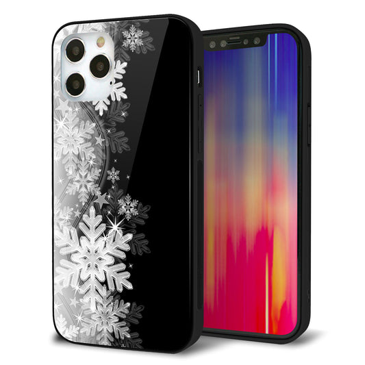 iPhone12 Pro 強化ガラス＆TPUスマホケース ガラプリ【603 白銀と闇】