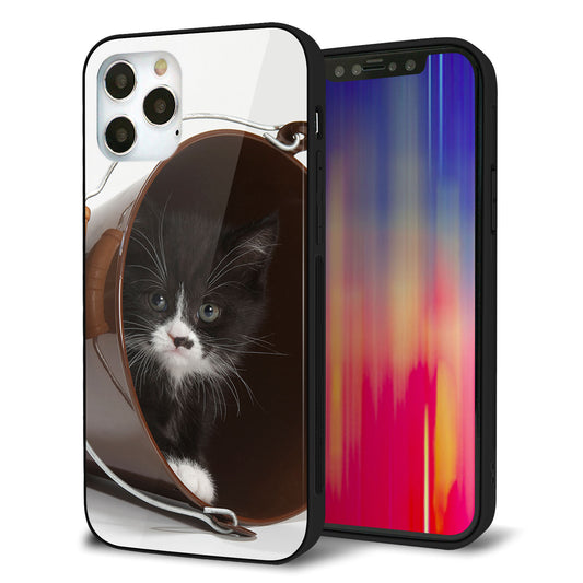 iPhone12 Pro 強化ガラス＆TPUスマホケース ガラプリ【VA800 ネコとバケツ】