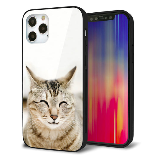 iPhone12 Pro 強化ガラス＆TPUスマホケース ガラプリ【VA801 笑福ねこ】