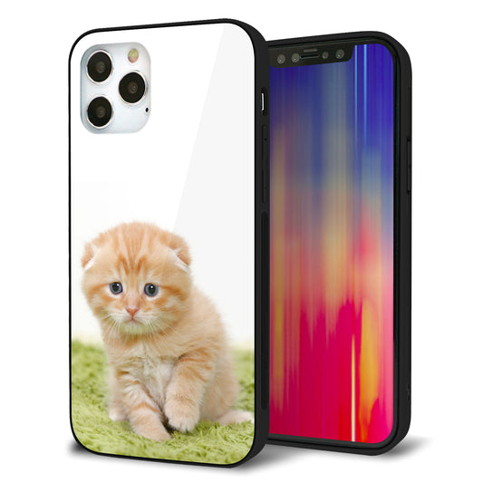 iPhone12 Pro 強化ガラス＆TPUスマホケース ガラプリ【VA802 ネコこっそり】