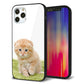iPhone12 Pro 強化ガラス＆TPUスマホケース ガラプリ【VA802 ネコこっそり】