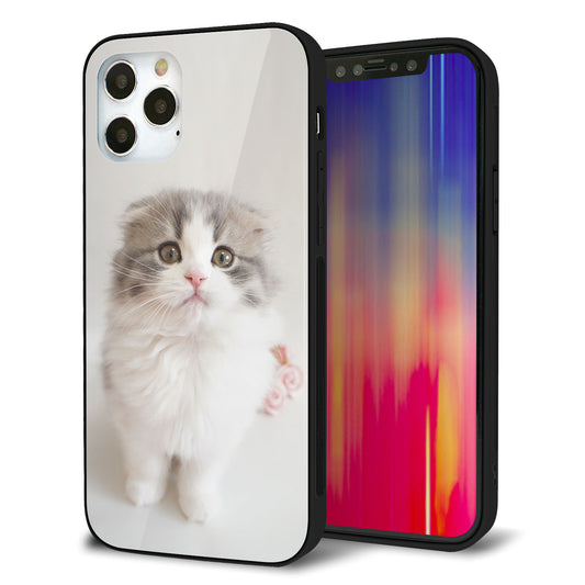 iPhone12 Pro 強化ガラス＆TPUスマホケース ガラプリ【VA803 まっていますネコ】