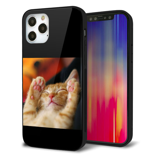 iPhone12 Pro 強化ガラス＆TPUスマホケース ガラプリ【VA804 爆睡するネコ】