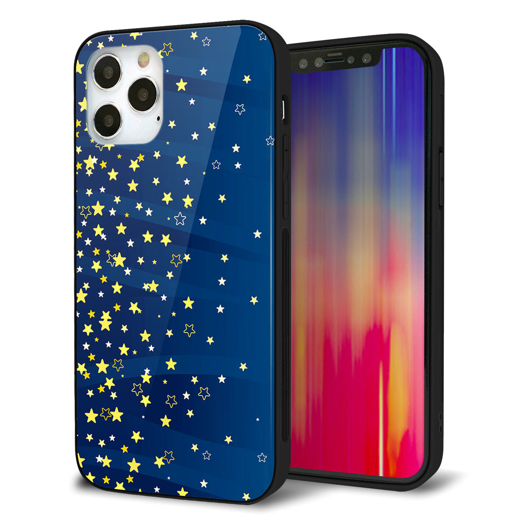 iPhone12 Pro 強化ガラス＆TPUスマホケース ガラプリ【VA842 満天の星空】