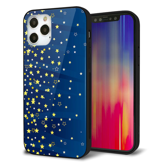iPhone12 Pro 強化ガラス＆TPUスマホケース ガラプリ【VA842 満天の星空】