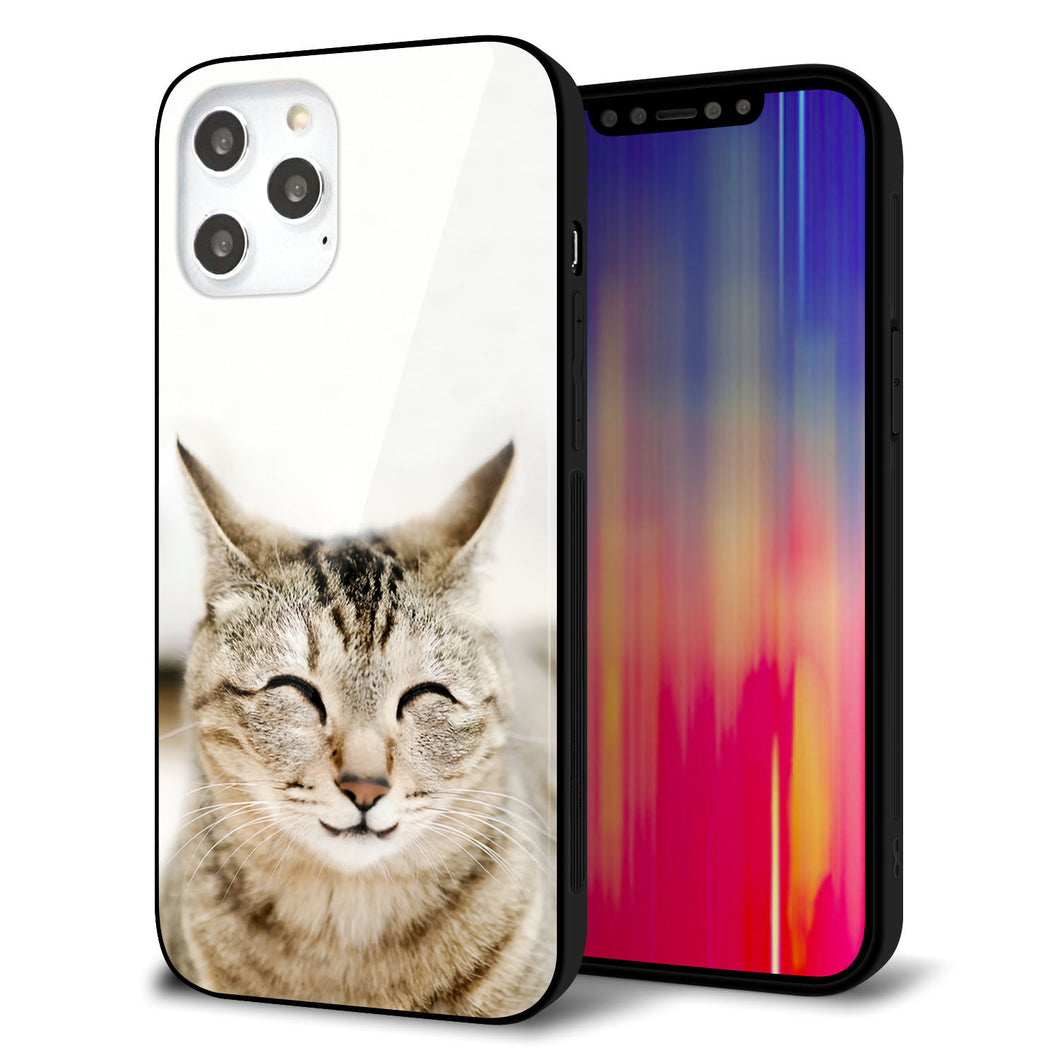 iPhone12 Pro Max 強化ガラス＆TPUスマホケース ガラプリ【VA801 笑福ねこ】