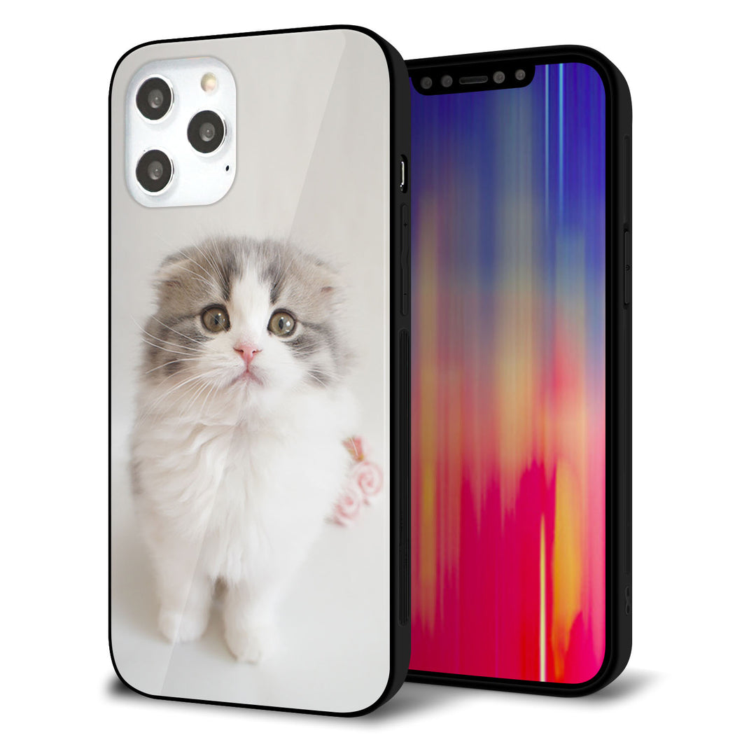 iPhone12 Pro Max 強化ガラス＆TPUスマホケース ガラプリ【VA803 まっていますネコ】