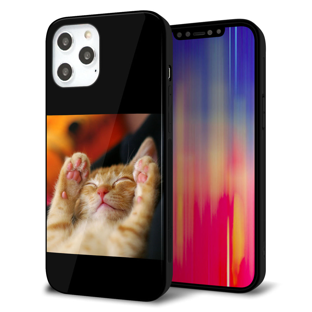 iPhone12 Pro Max 強化ガラス＆TPUスマホケース ガラプリ【VA804 爆睡するネコ】