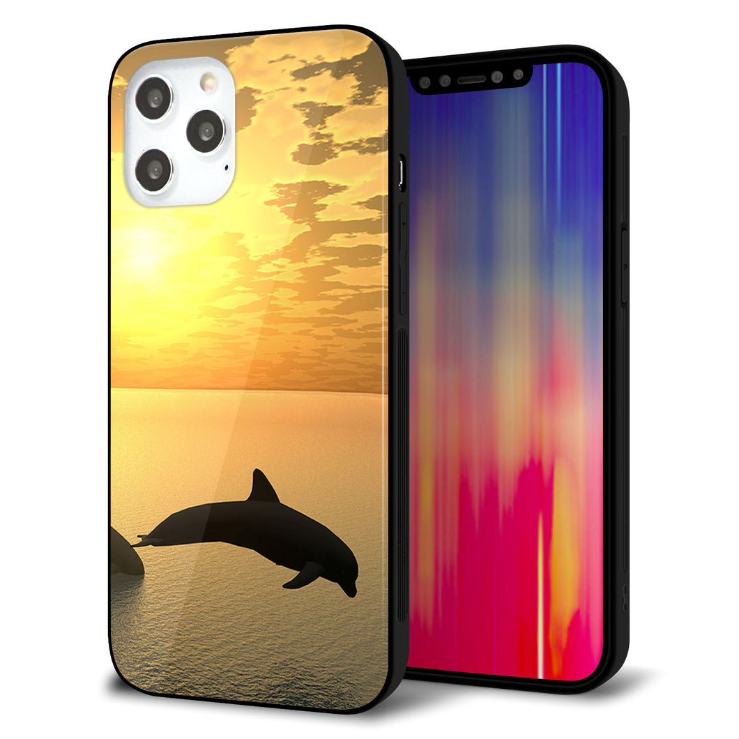iPhone12 Pro Max 強化ガラス＆TPUスマホケース ガラプリ【VA845 夕暮れのドルフィン】