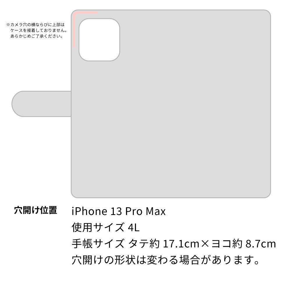 iPhone13 Pro Max スマホショルダー 【 手帳型 Simple 名入れ 長さ調整可能ストラップ付き 】 耐衝撃