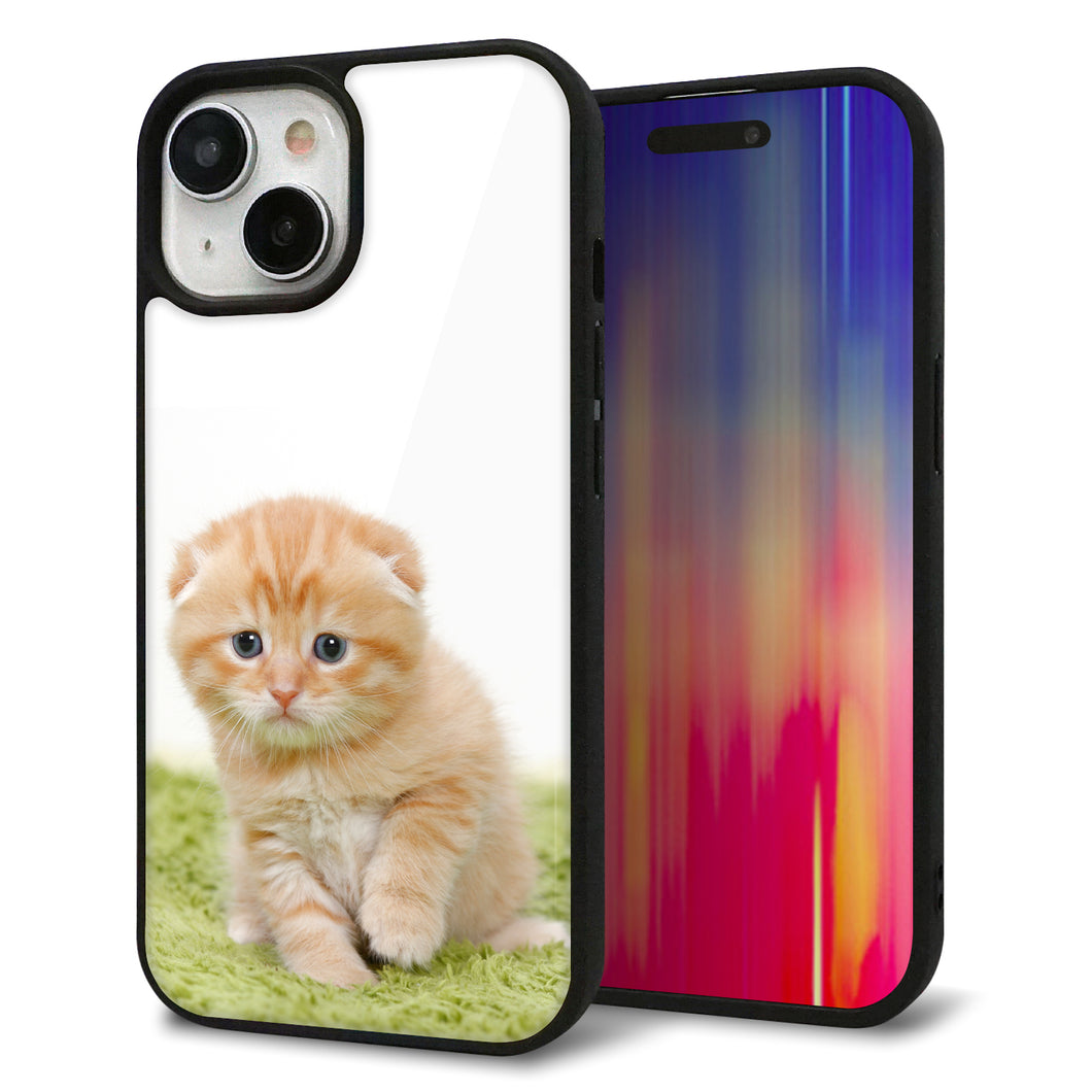 iPhone15 強化ガラス＆TPUスマホケース ガラプリ【VA802 ネコこっそり】