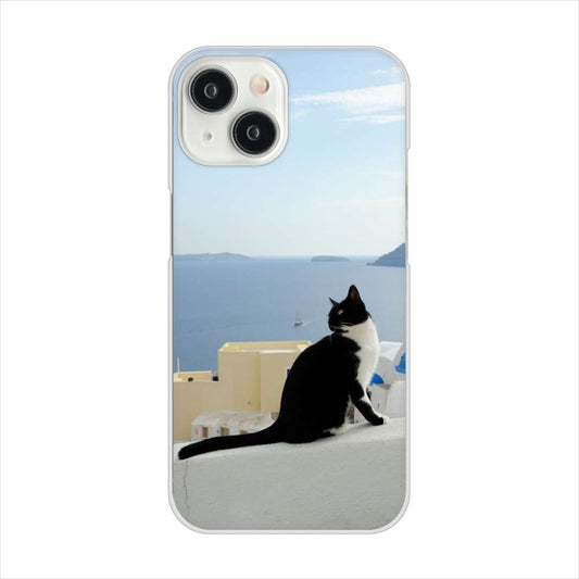 iPhone15 高画質仕上げ 背面印刷 ハードケース 【VA805 ネコと地中海】