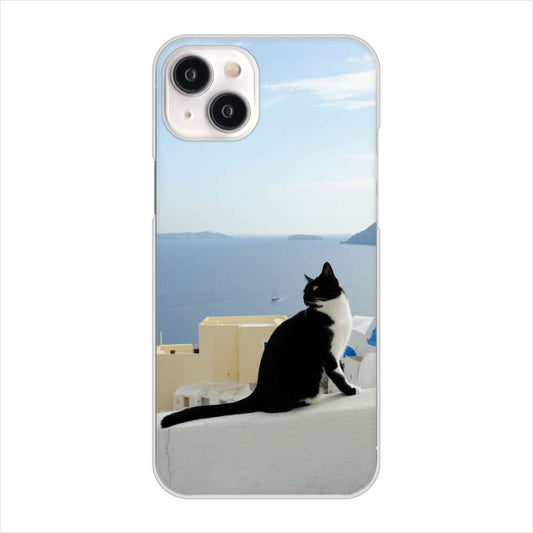 iPhone15 Plus 高画質仕上げ 背面印刷 ハードケース 【VA805 ネコと地中海】