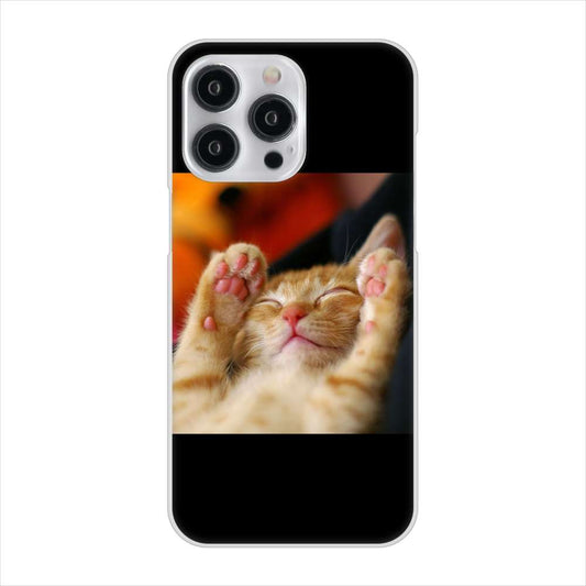 iPhone15 Pro Max 高画質仕上げ 背面印刷 ハードケース 【VA804 爆睡するネコ】