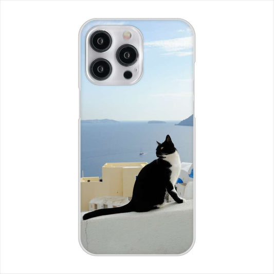 iPhone15 Pro Max 高画質仕上げ 背面印刷 ハードケース 【VA805 ネコと地中海】